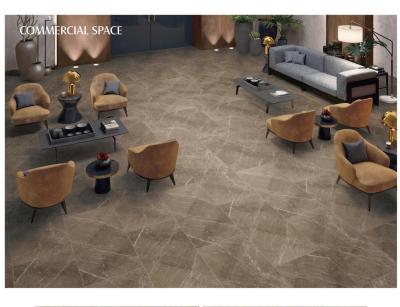 Carrelages vitrifiés par 10mm de porcelaine d'OIN Matt Glazed Brown Grey Marble 600x1200mm