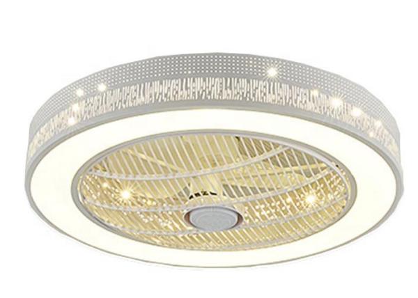 ABS Blade Remote Control Ceiling Fan Light
