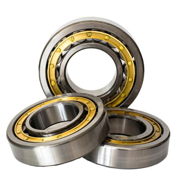 Cylindrical N204 N206 N208 N200Series N205 N220 Cylindrical Taper Roller Bearing