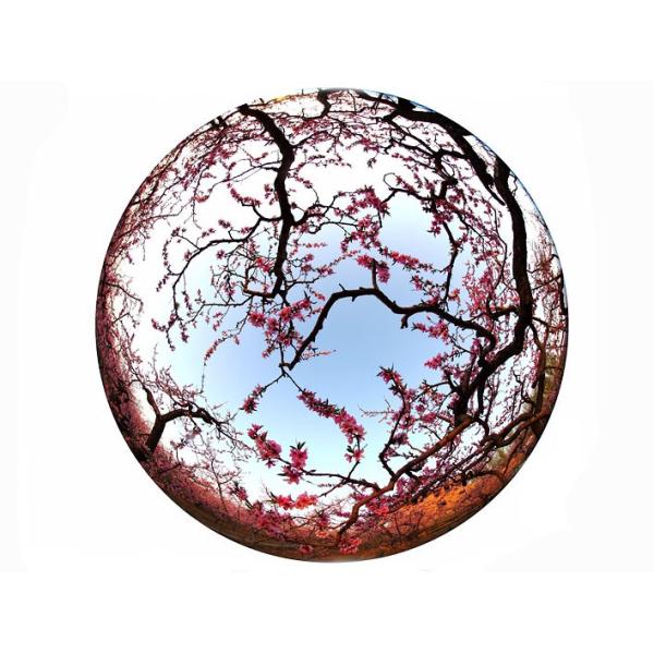 Professional 0.25X Fisheye Phone Camera Lens Aluminum Optical Glass Material