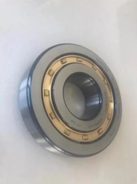 ELECTRIC TOOLS NJ411M/C4 BRASS CAGE ROLLER BEARING  CYLINDRICAL ROLLER BEARINGS