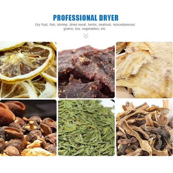 Quick Drying Industrial Commercial Large Food Freeze Dryer Drying Machine Large food dryer