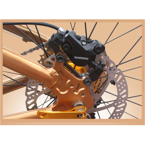 Load 150kg 30 Speed 26 Inch Wheel Fat Tire Sand Bike