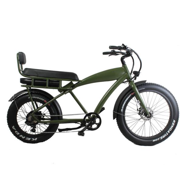 20 Inch 500w Electric Bike 8 Speed Fat Tyre Adult E Bicycle with 2 Seats and Foot Rest