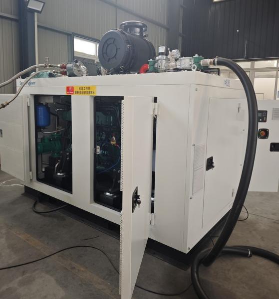 Premium CE Approved 2 Pcs 150kw 160kw In Parallel Silent Natural Gas BHKW CHP 300kw 320kw 400KVA