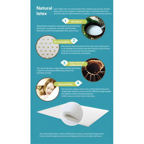 Transform Your Bedroom into a Sanctuary with Our Natural Home Furniture Mattress