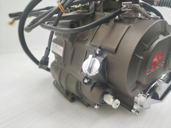 Max.Power 10.2/8000 Gasoline Tricycle Engines Assembly from DAYANG for Chinese Motorcycles