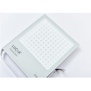 Белый 120 вольт 100в 130льм/в привел на открытом воздухе света потока