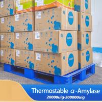amidon à haute amylase 200000u/G Alpha amylase protease fabricant fournissant l'échantillon de préparation enzymatique