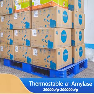amidon à haute amylase 200000u/G Alpha amylase protease fabricant fournissant l'
