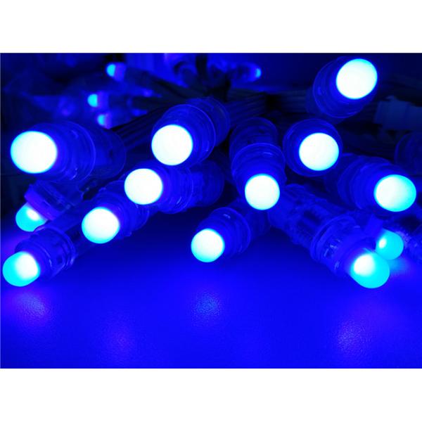 Фасоль чуда 12mm пиксел приведенный Rgb полного цвета шнурует пиксел Rgb сертификата BIS Addressable привела 12mm 5v 12v
