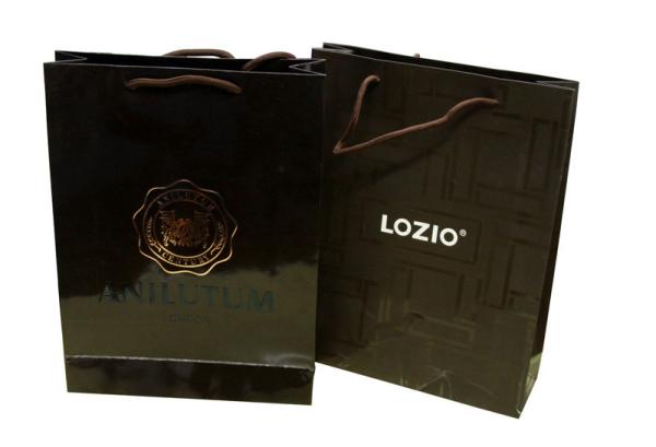 Shining Coated Twenty 210g Artpaper / Paper Carry Bag For Shopping Packaging
