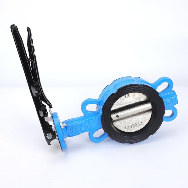 Ручные упругие сидячие пластиковые железолитые промышленные контроллеры вафли Лак Бабочки клапаны с EPDM PTFE PFA резиновой подкладкой