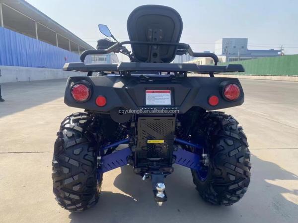 800 1000W 4*4 Electric Lithium Battery EEC UTV Off-road Sports ATV Racing Motorcycle