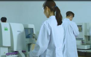Dewei Medical Equipment Co., Ltd