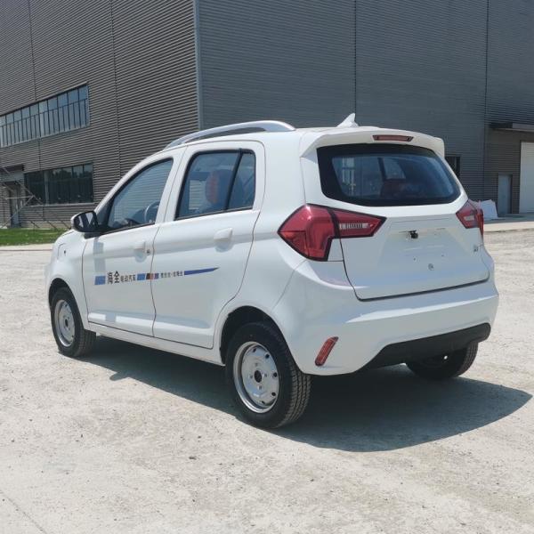 Raysince high end quality vehicle electric wholesales cheap price fast electric car for adult