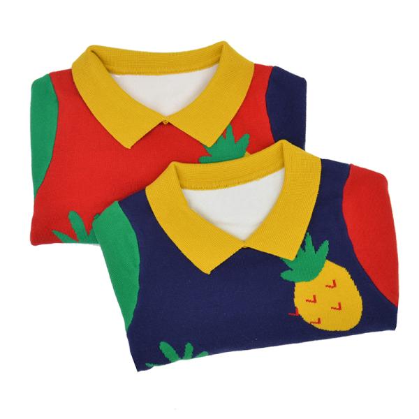 Картина ананаса Bespoke свитеры поворачивает вниз пуловер осени детей воротника