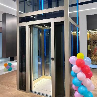 Espaçoso e moderno elevador de tração para casa com segurança avançada e portas deslizantes
