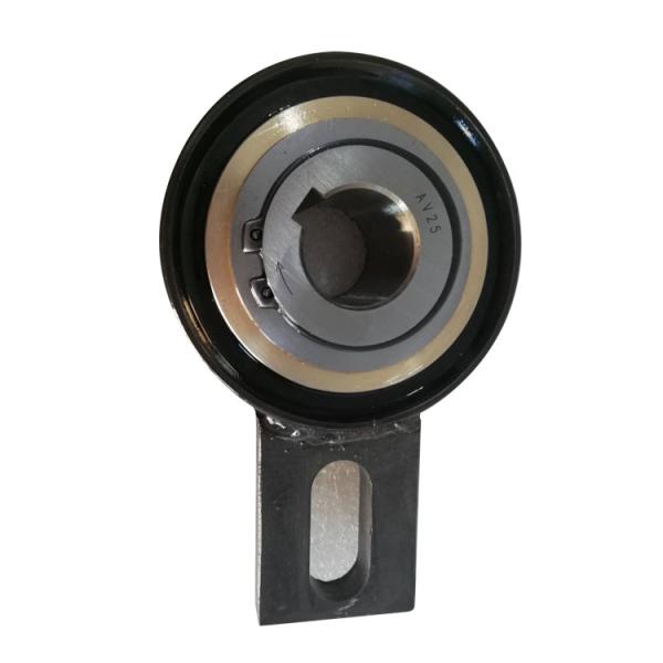 backstopping clutch AV110 GV110 Alternative C.T.S backstop bearing AV120 GV120 one way freewheel clutch