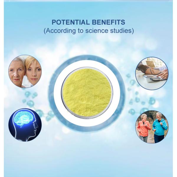 Высокая чистота 99% Кверцетин Дигидрат Порошок Sophora Japonica Экстракт для пищевых капсул