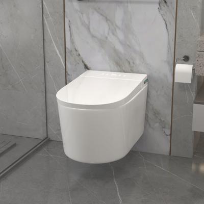 Elongated Bowl Smart Toilet Equipped With Siphon Jet Flushing Method