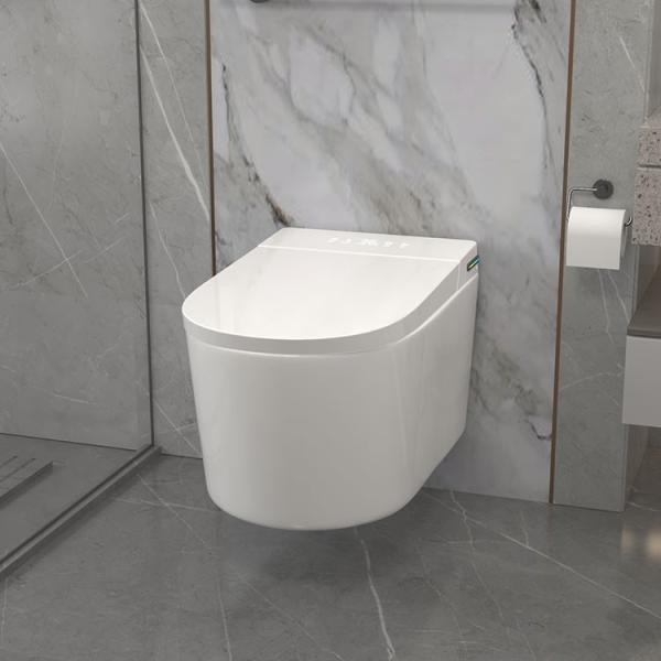 Elongated Bowl Smart Toilet Equipped With Siphon Jet Flushing Method