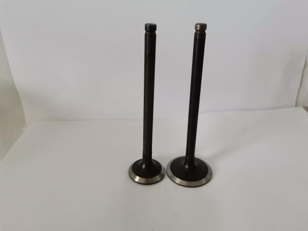 Durable 3242A Diesel Engine Valve for PEUGEOT / CITROEN 1.1L / 1.4L / 1.6L 8V GAS