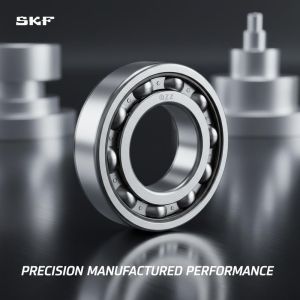 SKF Radial Ball Bearing Chrome Steel AISI 52100 with ZZ Seal for Precision