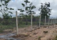 Arame farpado sanfona galvanizado mergulhado quente 960mm BTO-12 da lâmina