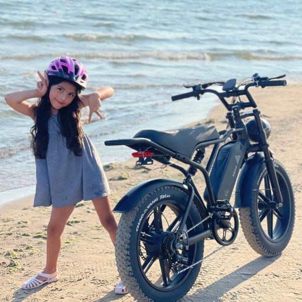 New Arrival EU Stock 20 Inch Fat Tire E Bike 48V 15AH Electric Bike Vintage Off-Road E-Bike 750~1200W, 55km~75km