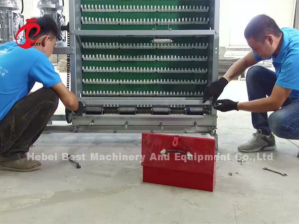 Frío automático de la jaula de las aves de corral de la batería galvanizado para poner pollos en iris del mercado de África