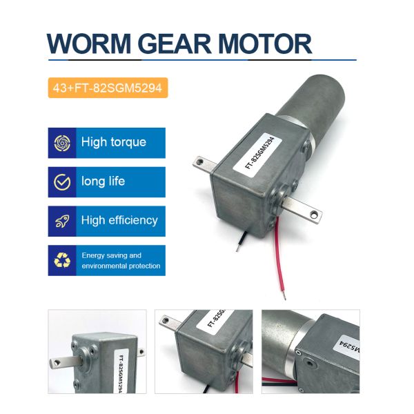 Custom FT-82SGM5294 Dual Output Shaft High Torque High Power DC Worm Gear Brushless Electric Motor