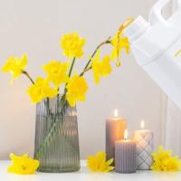 Aceite para velas más vendido Aceites para velas altamente concentrados