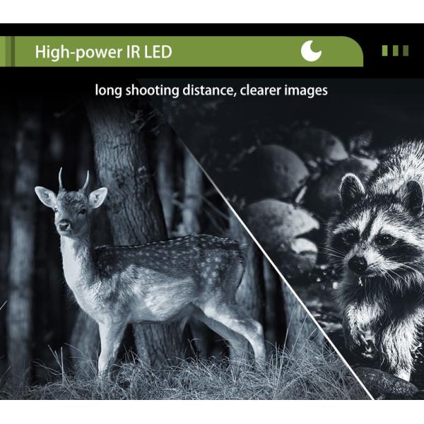 2.4 Inch Screen Wireless 4G LTE Hunting Camera 4MP CMOS Sensor Cellular Trail Camera