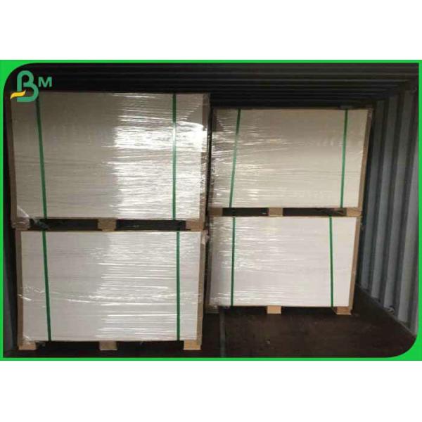 Rollo completamente seguro y limpio del papel de la taza de los 70*100cm 160gsm +12g PE para la taza de café