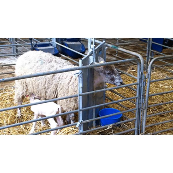 Алюминиевое стекло из сплава металлического металла Конструкция помещения для фермы козов Стальная конструкция Дом для овец Приют PKPM Рисунок