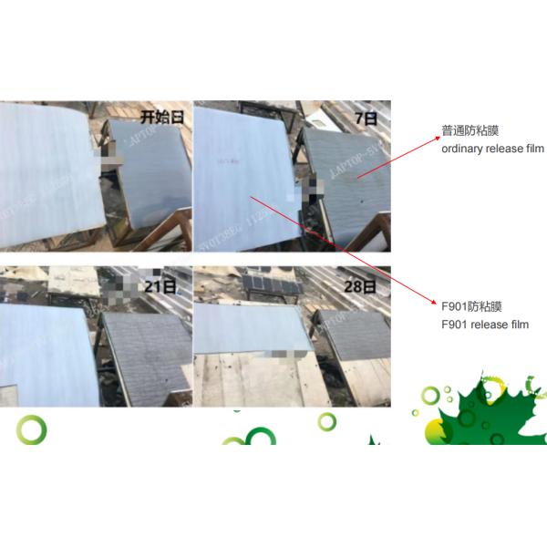 Barrier Type F901 Silicone Coated Release Liner