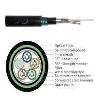 Câble optique enterré souterrain de fibre du noyau GYTZA53 24