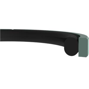 PTFE Sealing Ring , Energizer Elastomer O ring With ISO Housings