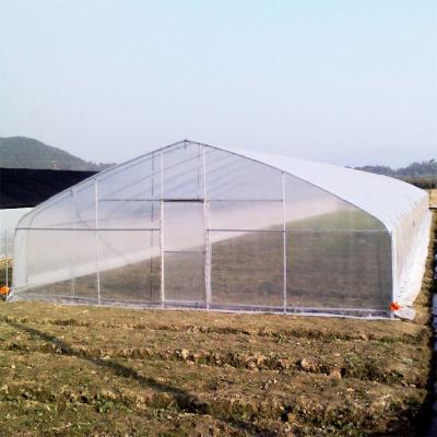 Greenhouse Tunnel Single-span Plastic Film for Agricultural Vegetables and Fruits