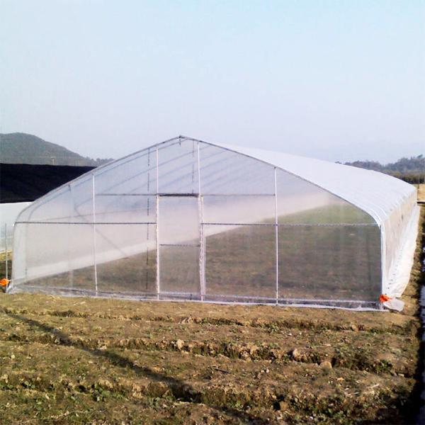 Filtro de plástico de comprimento único para o túnel de estufa para produtos hortícolas e frutos agrícolas