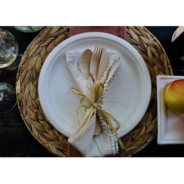 Eco Friendly Disposable Sugarcane Bagasse 7 inch Food Dinnerware Round Cake Plate