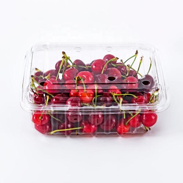 Blister Molding Customized Food Takeaway Containers