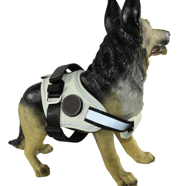 Помощь тяги проводки собаки Xxs Xxs астетическая анти- холя голубую черноту