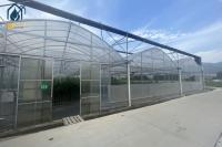 Multi Span Greenhouse Indoor Vegetable Greenhouse For Herb Cultivation