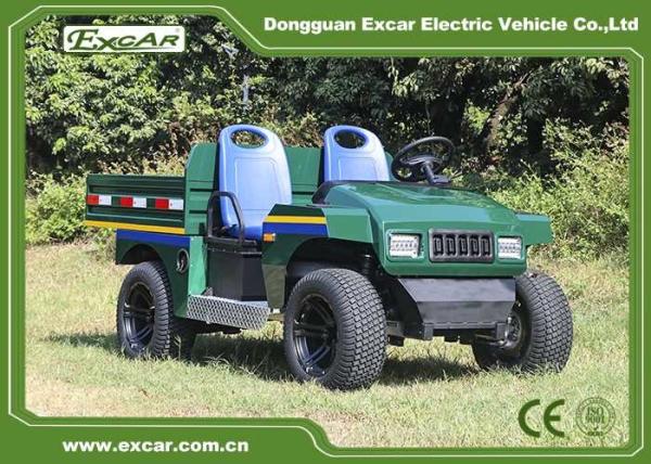 Whosale Excar New Design Model Electric Mini Buggy Car  Golf Car