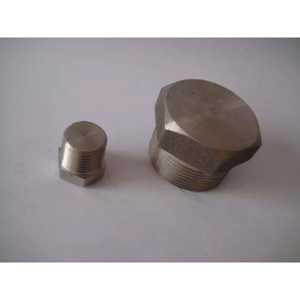 Stainless steel ASTM A182 F51 S31803 S32205 casting pipe fitting forged square hex head thread plug