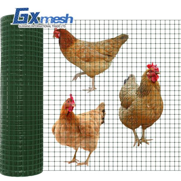 Factory Sale Various Wire Mesh Rolls PVC Coated Square Welded Mesh For Rabbit Dog Cages