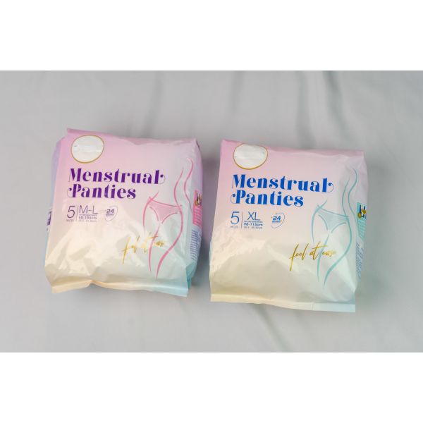 Overnight High Absorption Overnight Period Panties Odor Resistant Fabric Comfortable Leak Proof Menstrual Underwear for Night