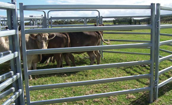 25pcs Bundle Heavy Duty Portable Cattle Panels For Sale & Gate